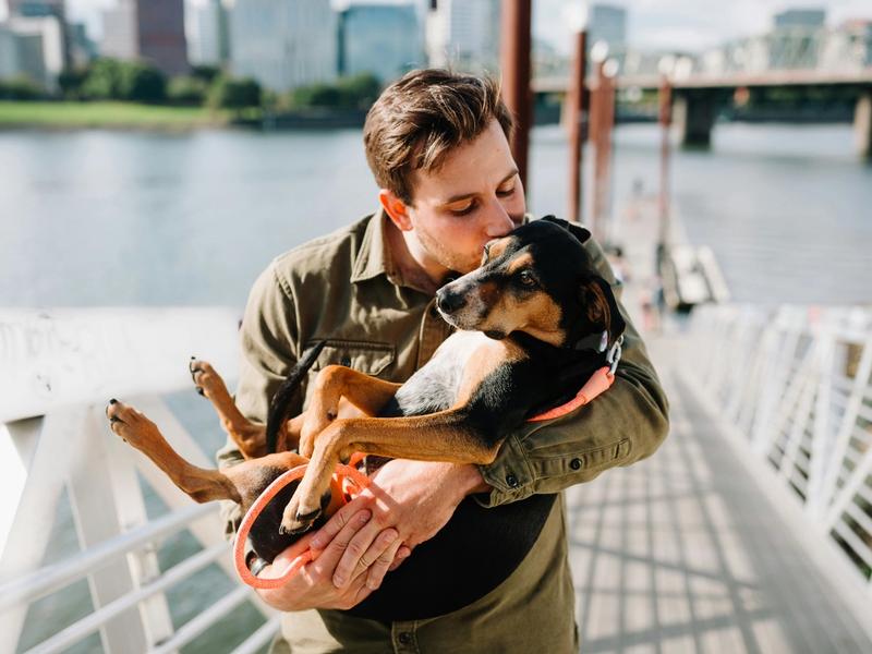 67% of Dog Owners Would Quit Before Returning to Office Full-Time. Companies Didn't See This Coming
