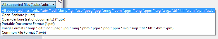 open sankore import files options