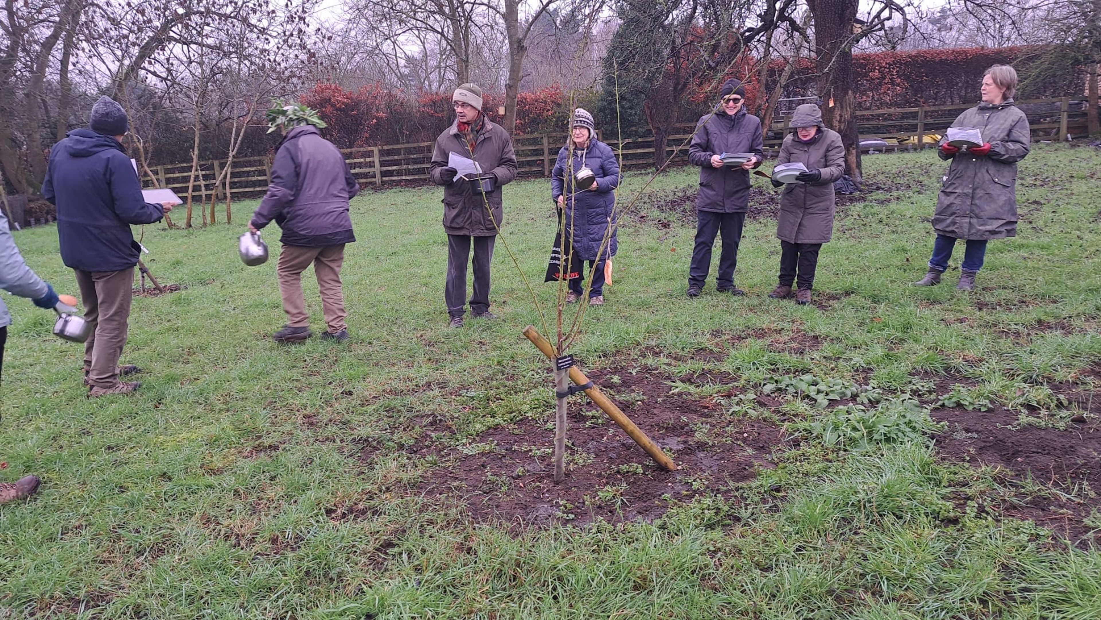 Villagers wassailing in the orchard with pots, pans and song sheets