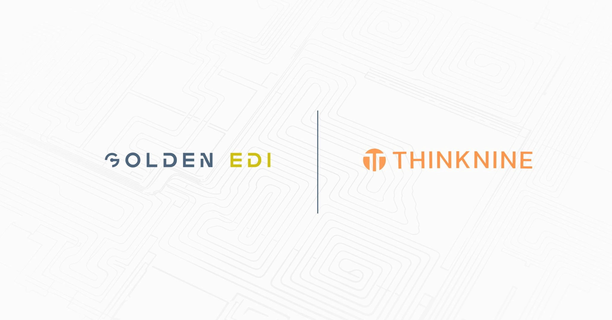 Golden EDI and THINKNINE logos