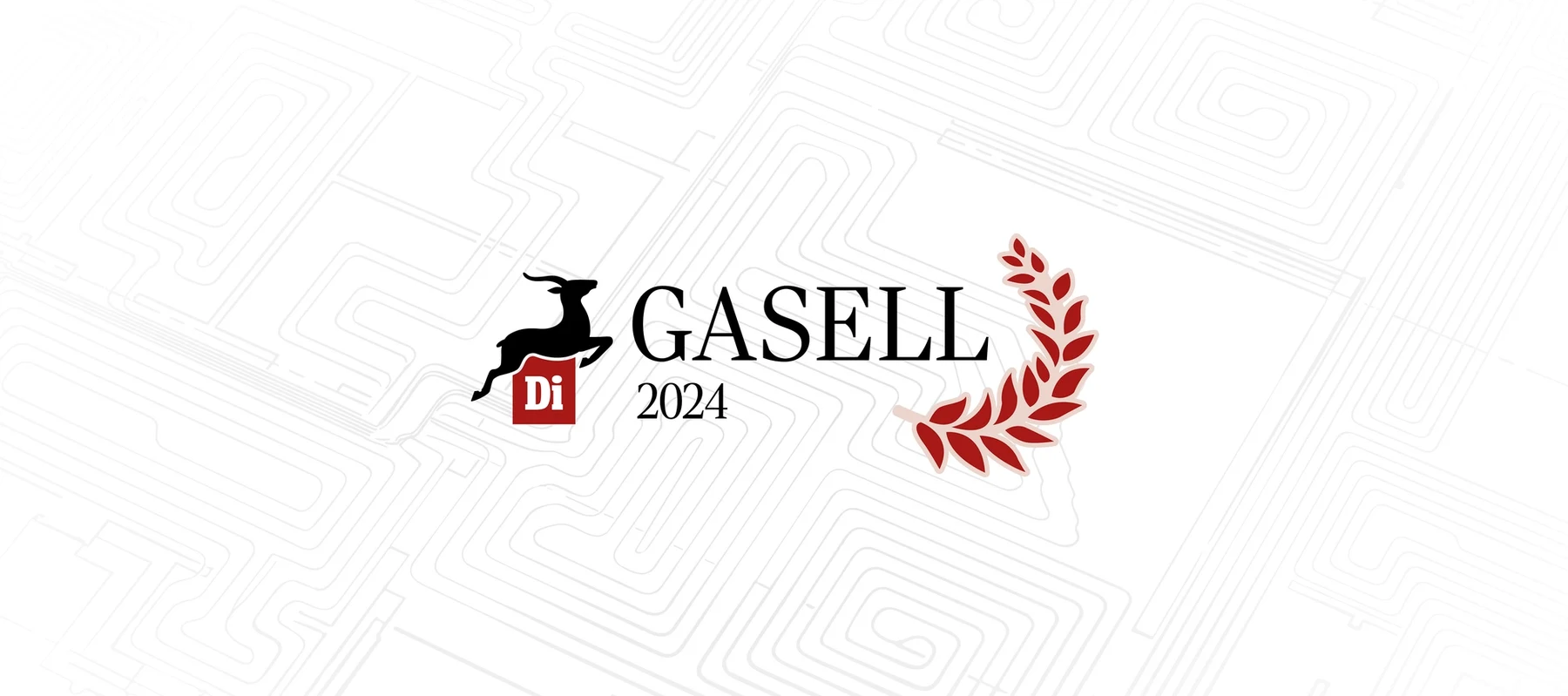 DI Gasell 2024
