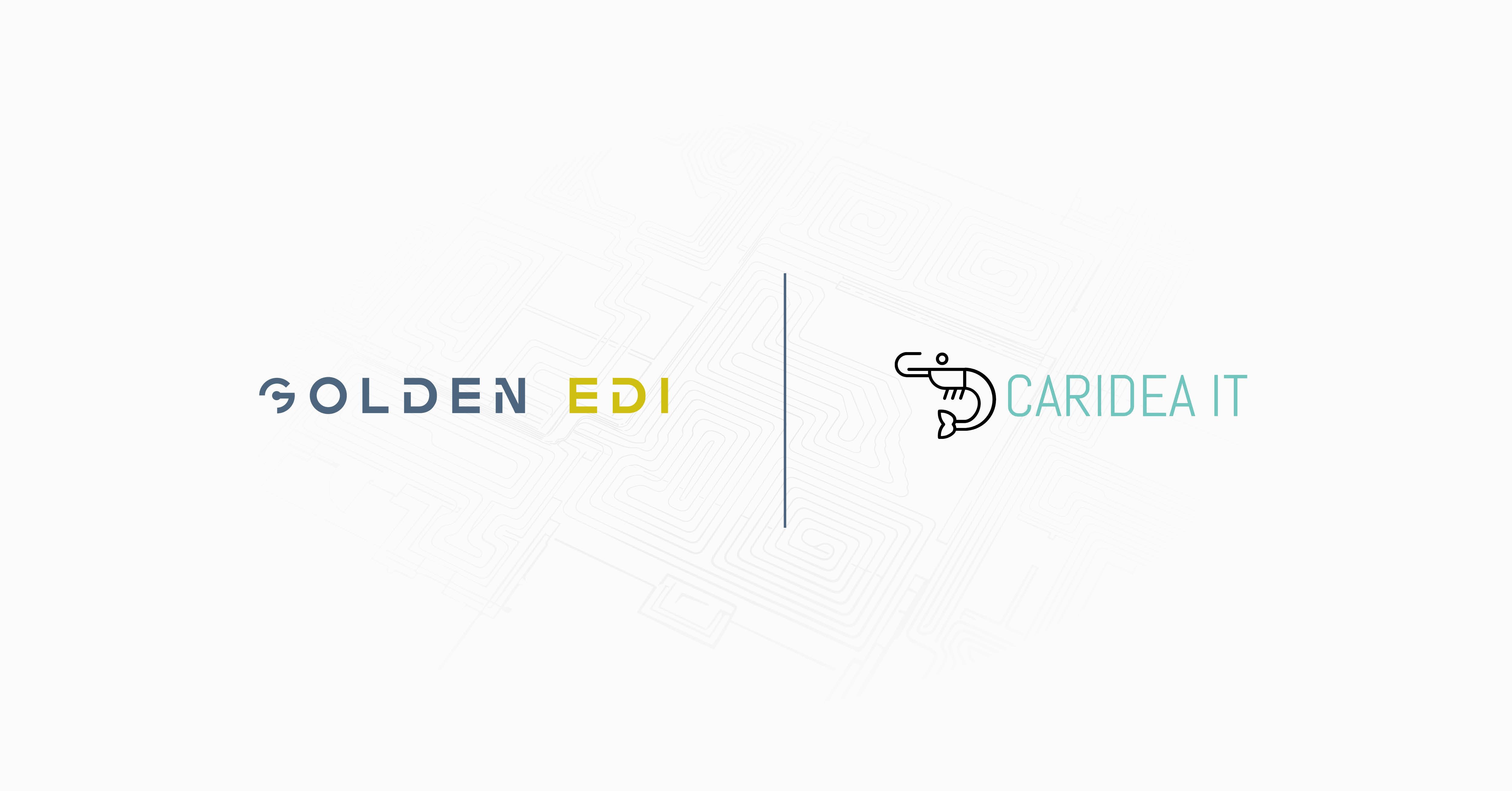 Partnering with Caridea IT