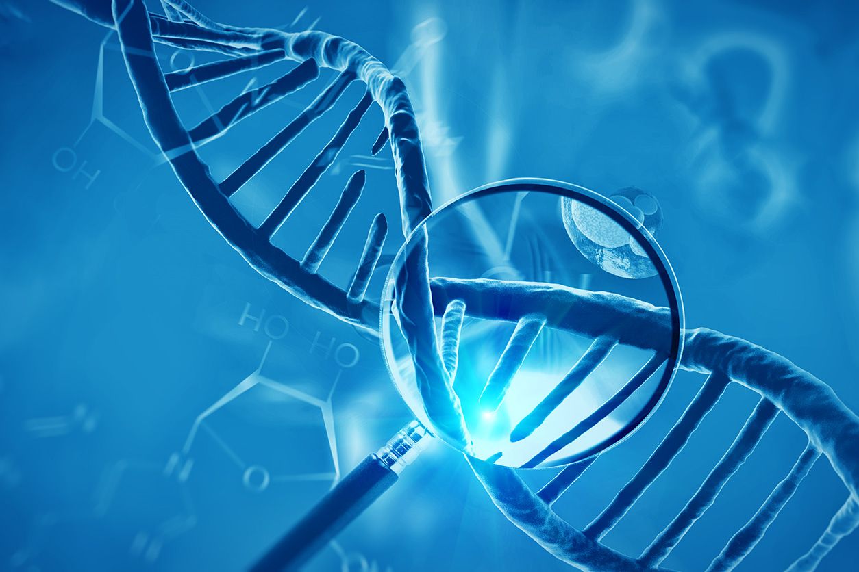 Genetic Testing medical service at Prime Health MD