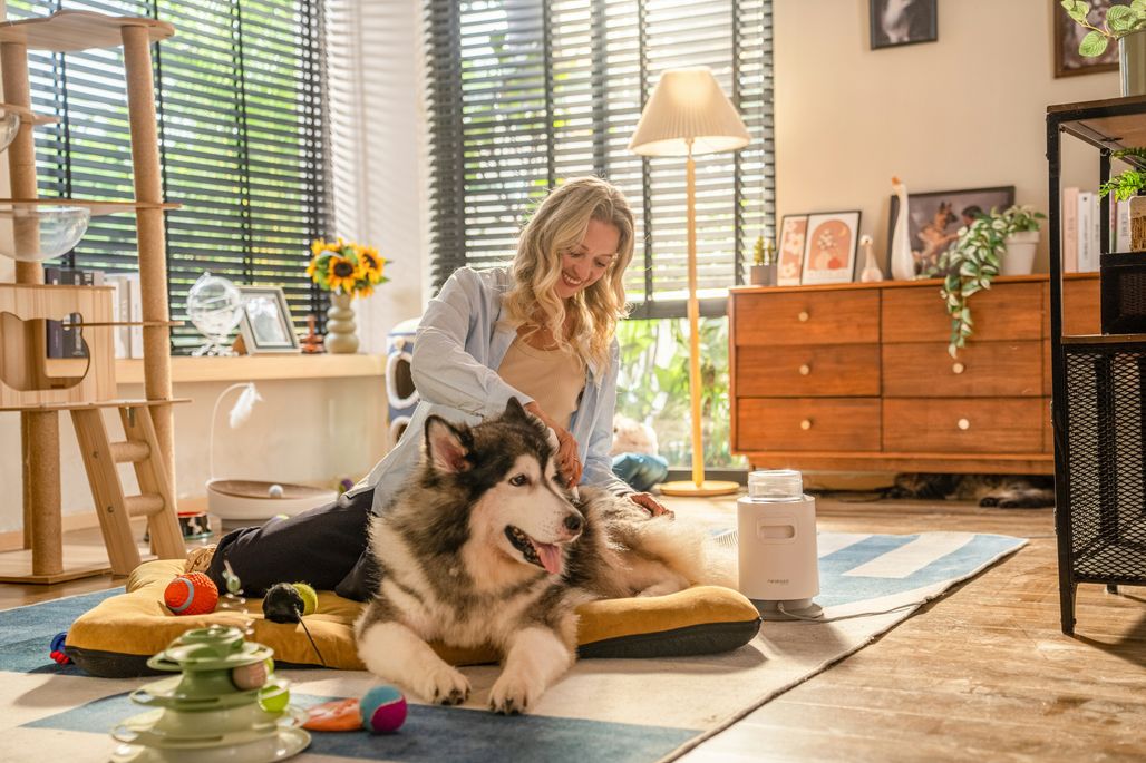 A relaxed groomer sitting on the floor playing with two dogs