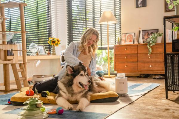 A relaxed groomer sitting on the floor playing with two dogs