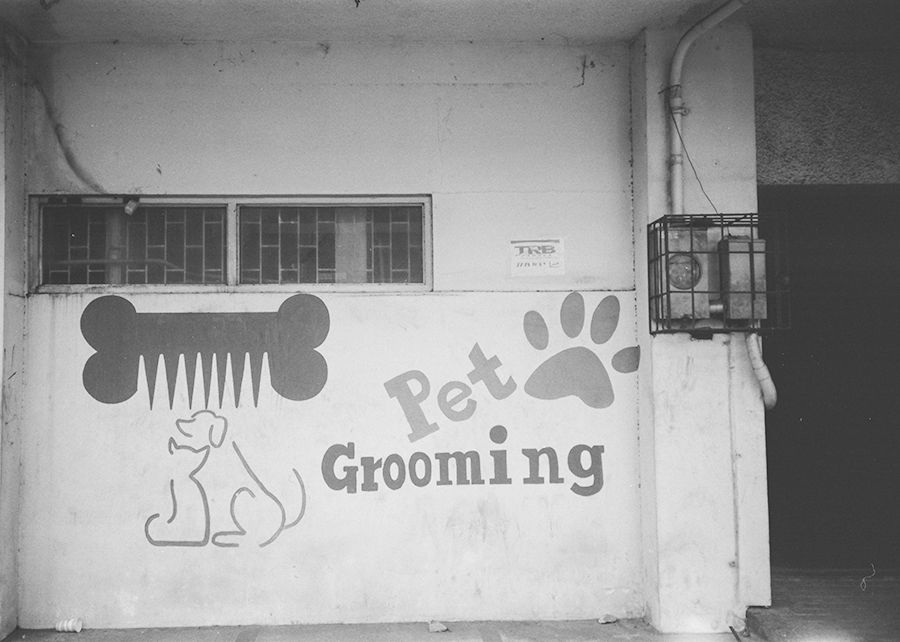 Pricing, Packages, and Profit: Growing Your Grooming Business the Right Way