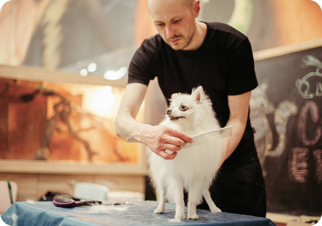 Groomer scheduling an appointment