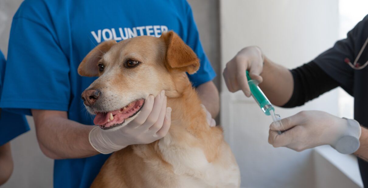 Harnessing Technology for...