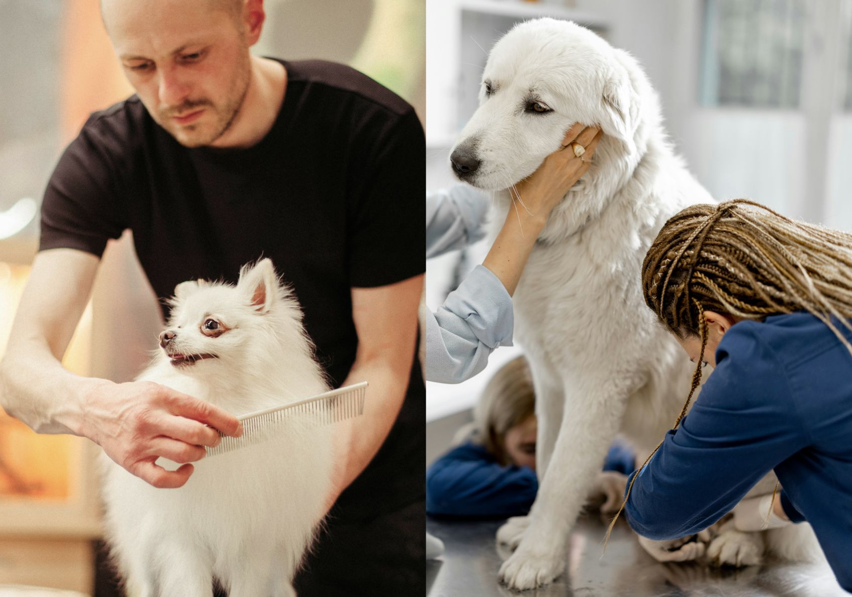 Groomer scheduling an appointment