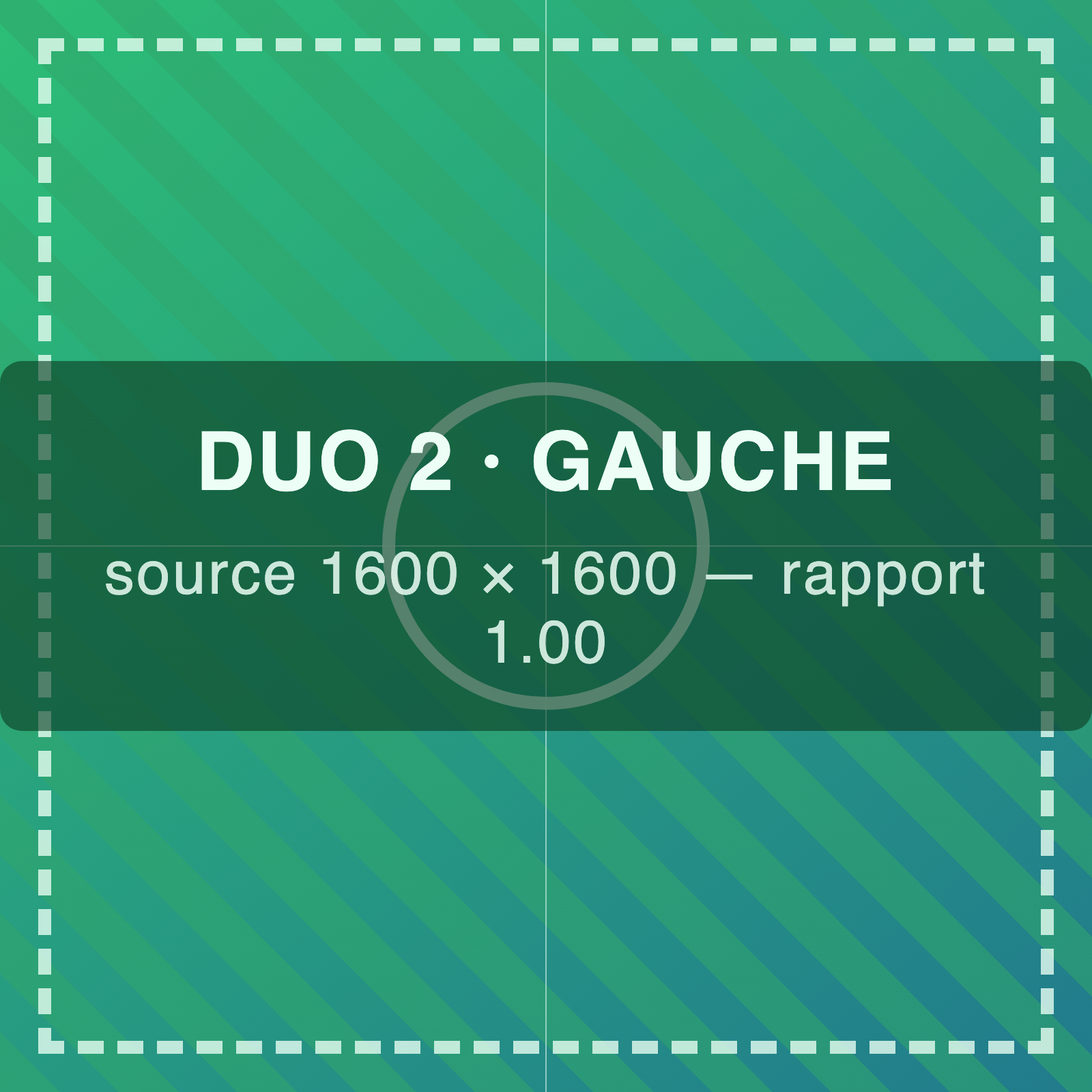 Gabarit de test : rangée duo 2, cellule gauche, source carrée 1600 x 1600