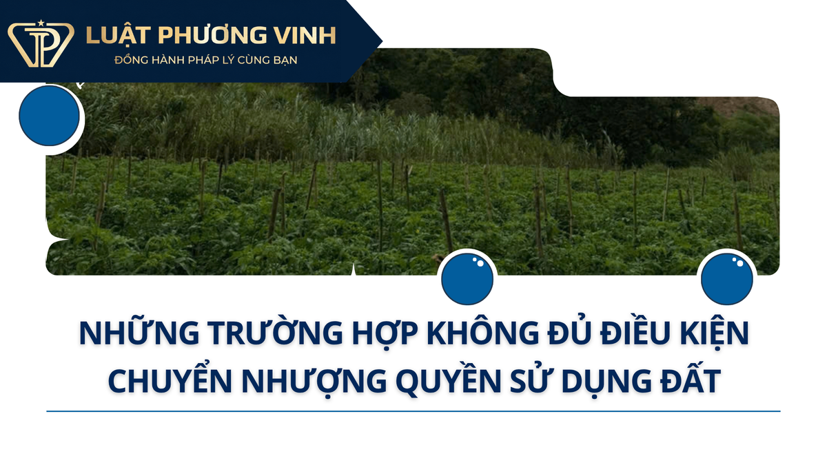 Những trường hợp không đủ điều kiện chuyển nhượng quyền sử dụng đất