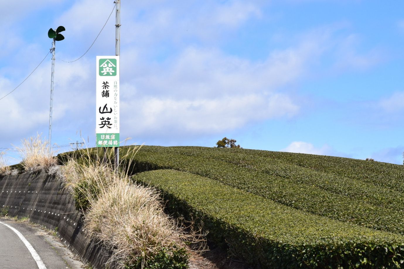 A Return to Kakegawa, Shizuoka