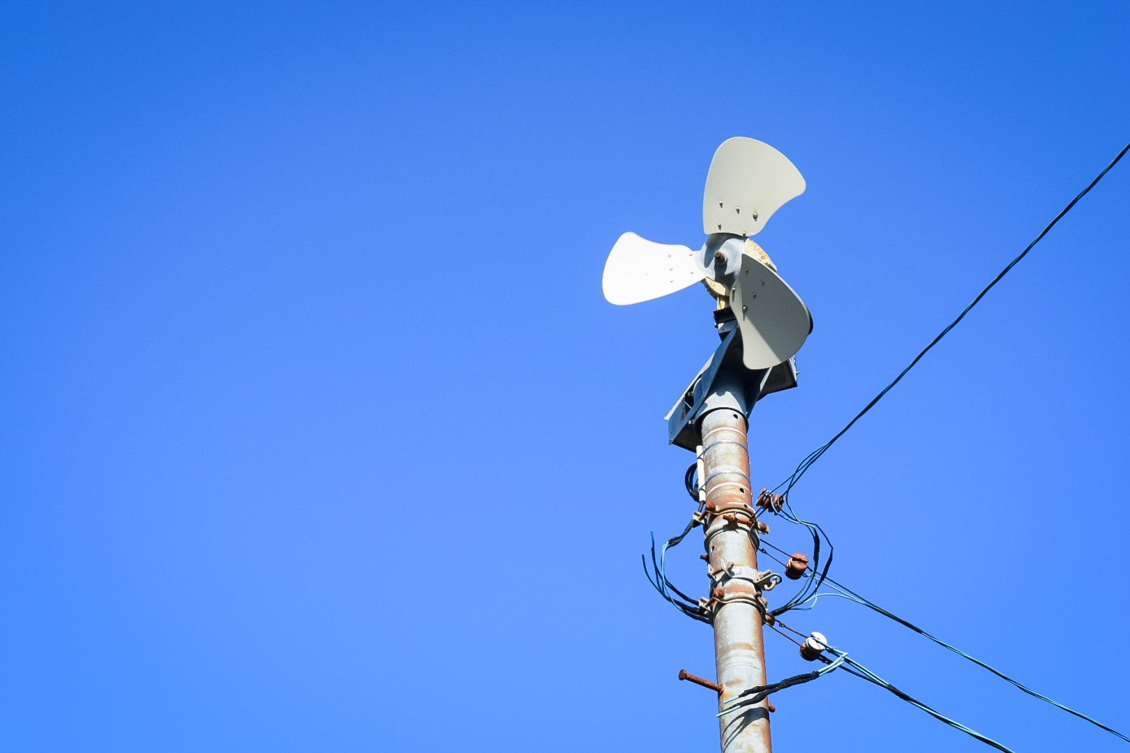 Fan used to protect the delicate new leaves from frost damage