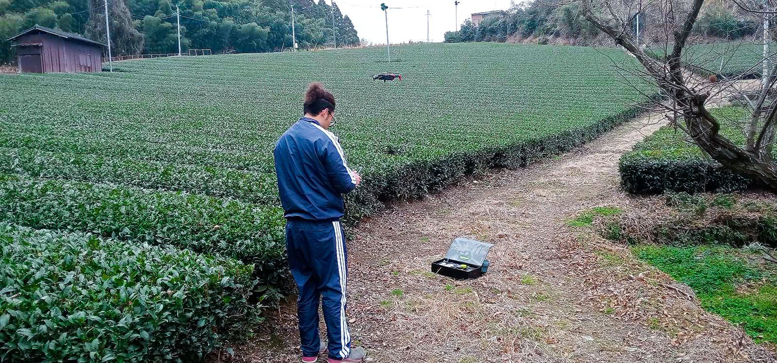 Rebel Bunny is documenting every directly sourced tea field in Yame through drone footage, while researching the untold history of each area. More to come soon. 
