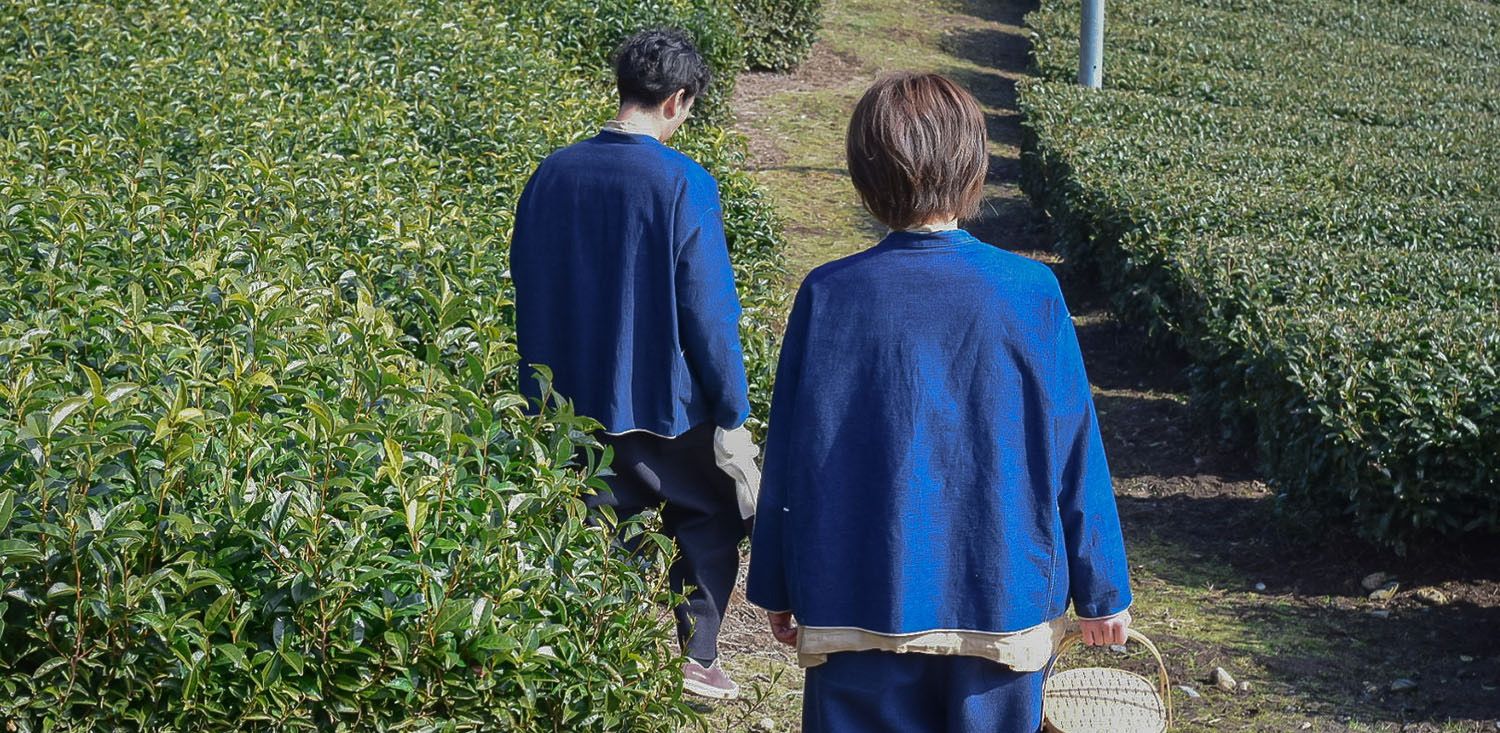 Two people walking through a tea plantation, one carrying a basket.