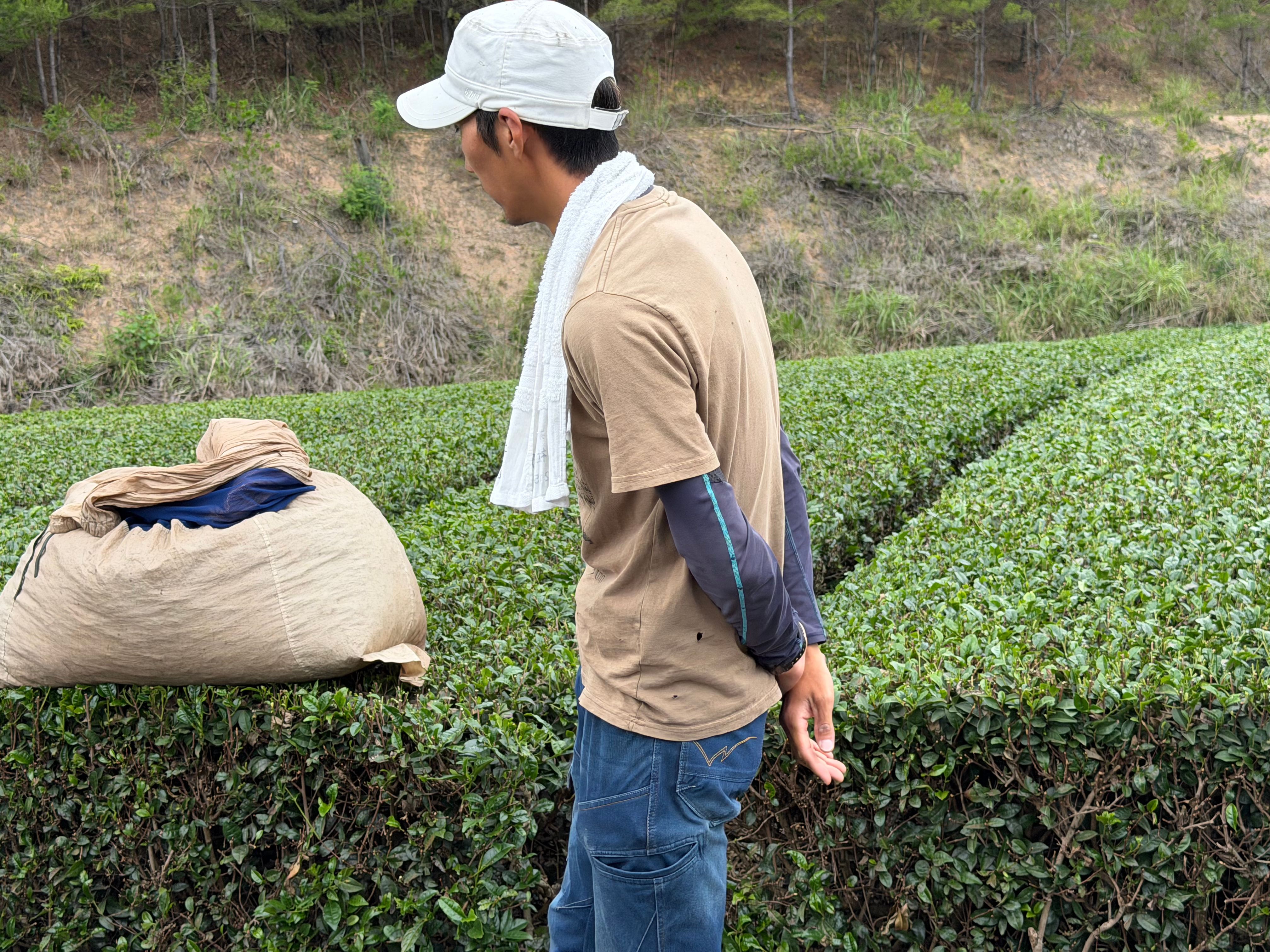learning directly from the producers behind our matcha is one of the things we value most