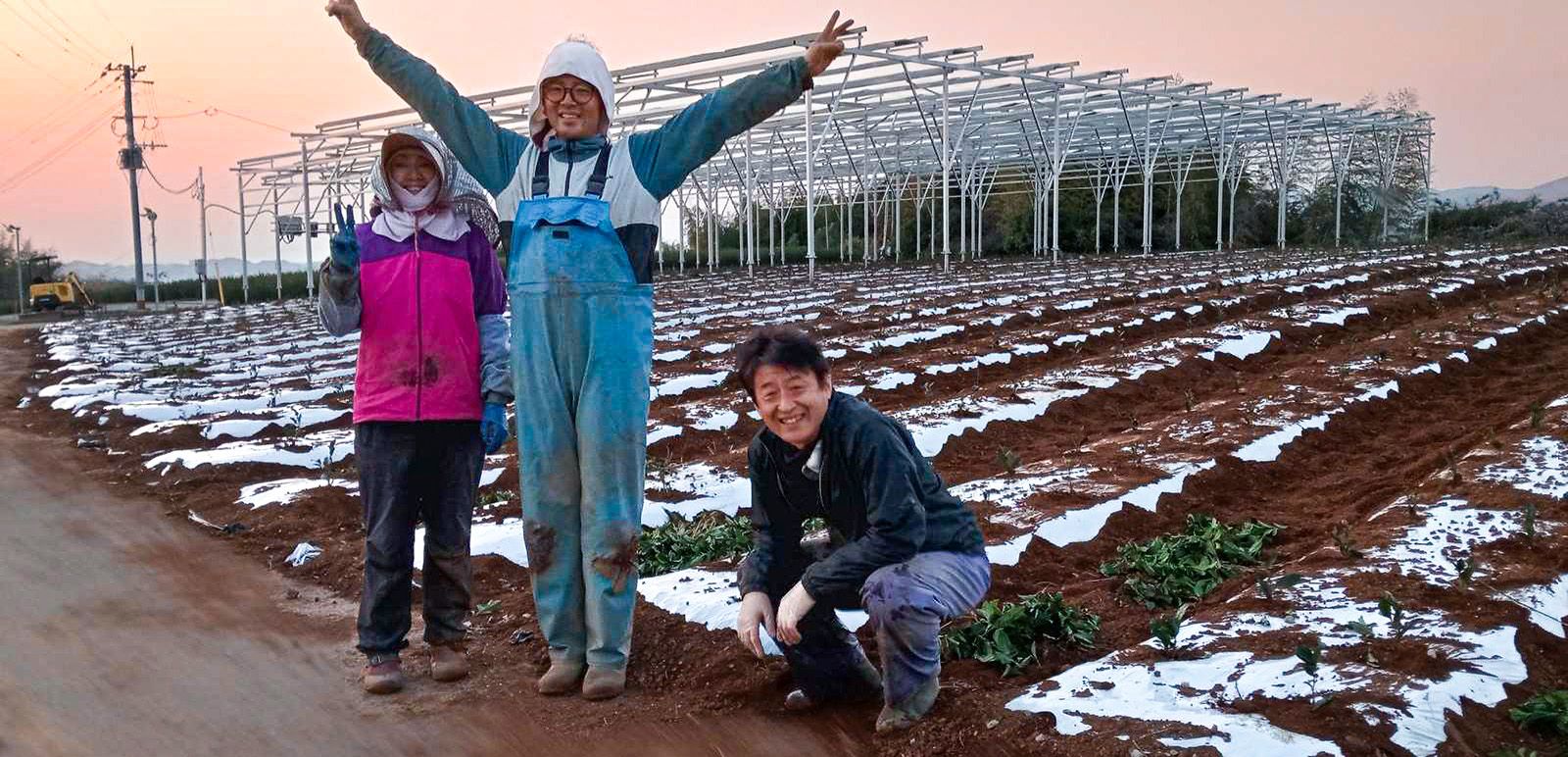 Atsushi-san, a 5th-generation tea farmer in the Yame plains, with his parents. My late grandfather, a traditional Yame handmade washi craftsman, used to buy rice and vegetables from Atsushi-san’s great-grandfather.
