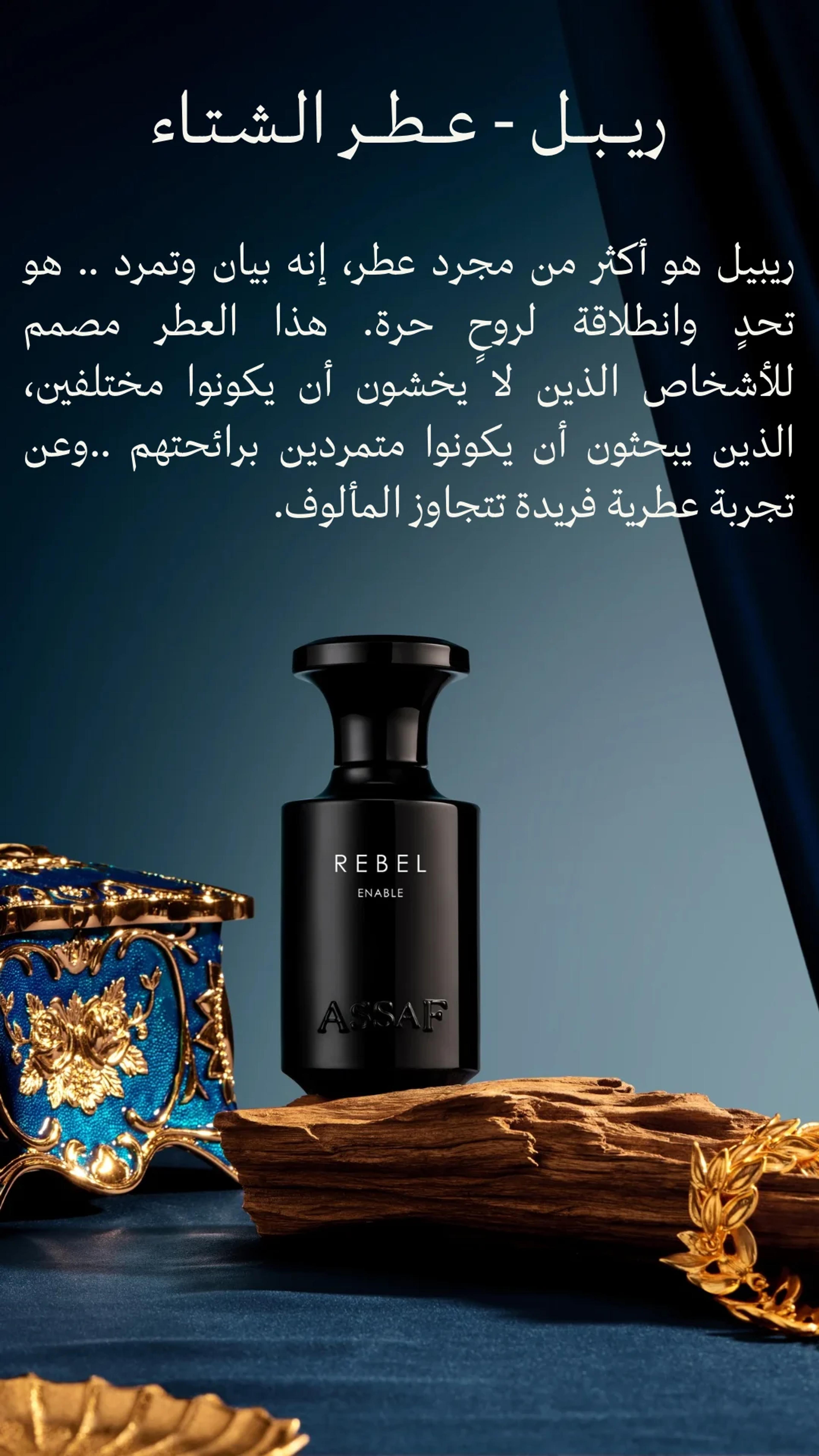 Assaf Rebel 2