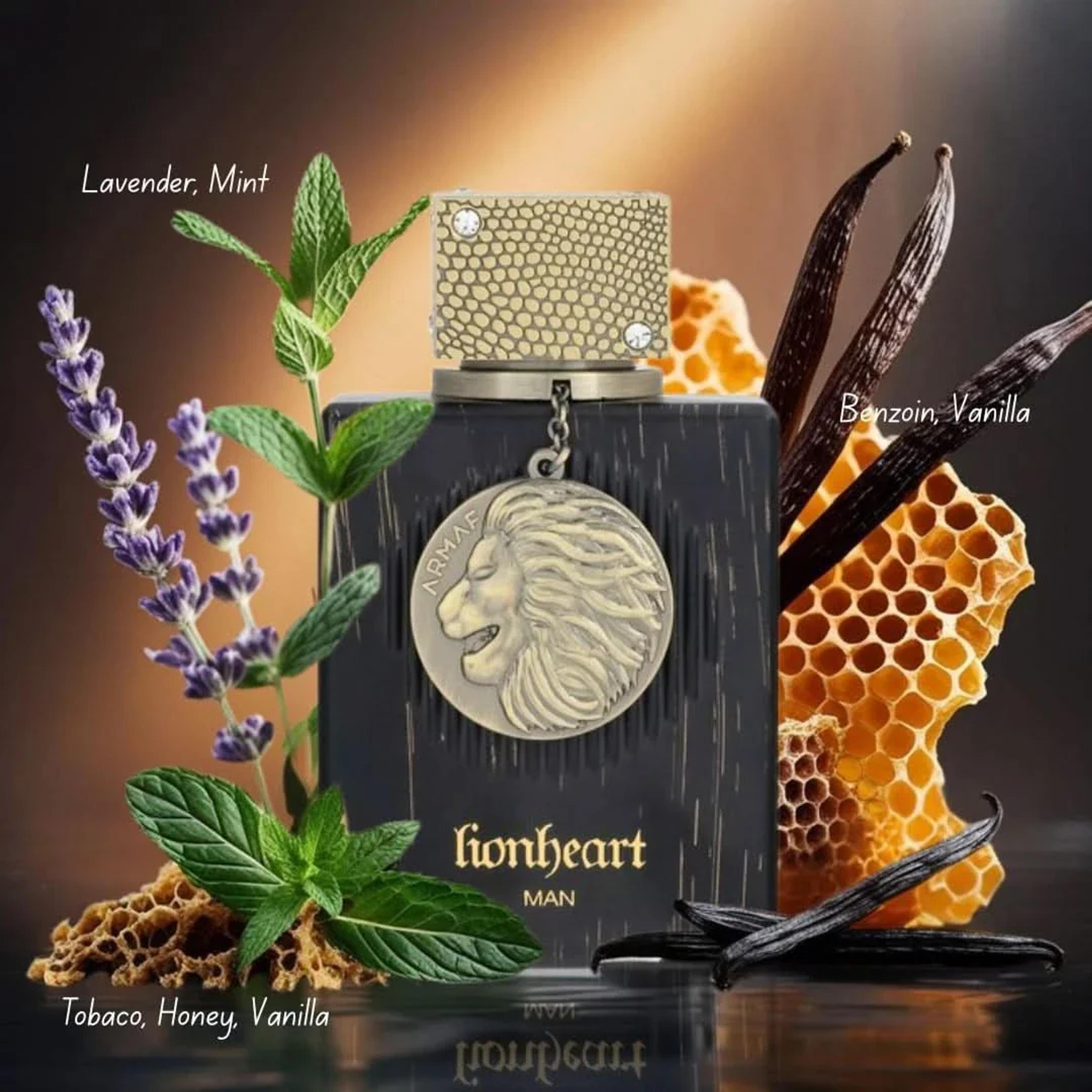 Club De Nuit Lionheart 2