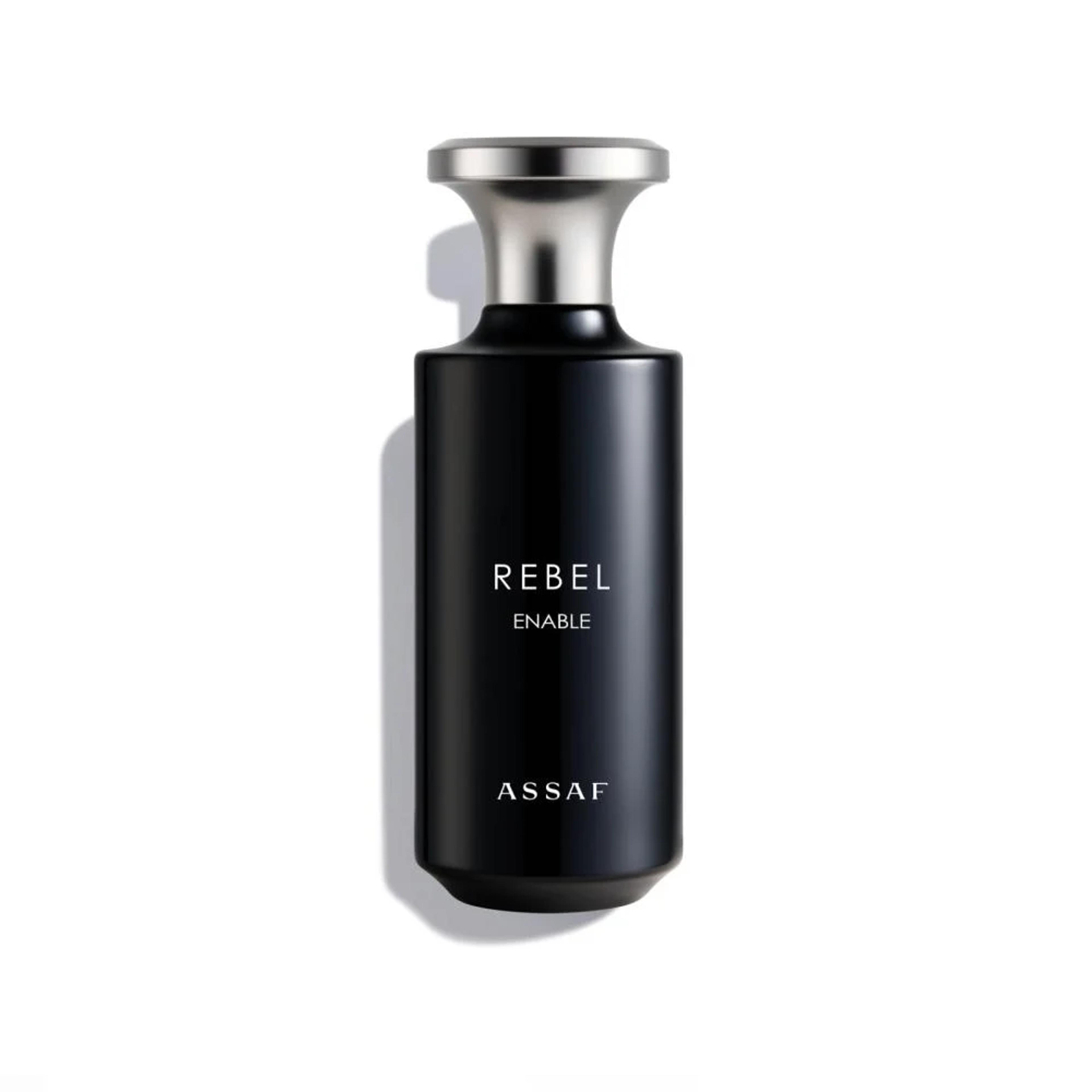 Assaf Rebel