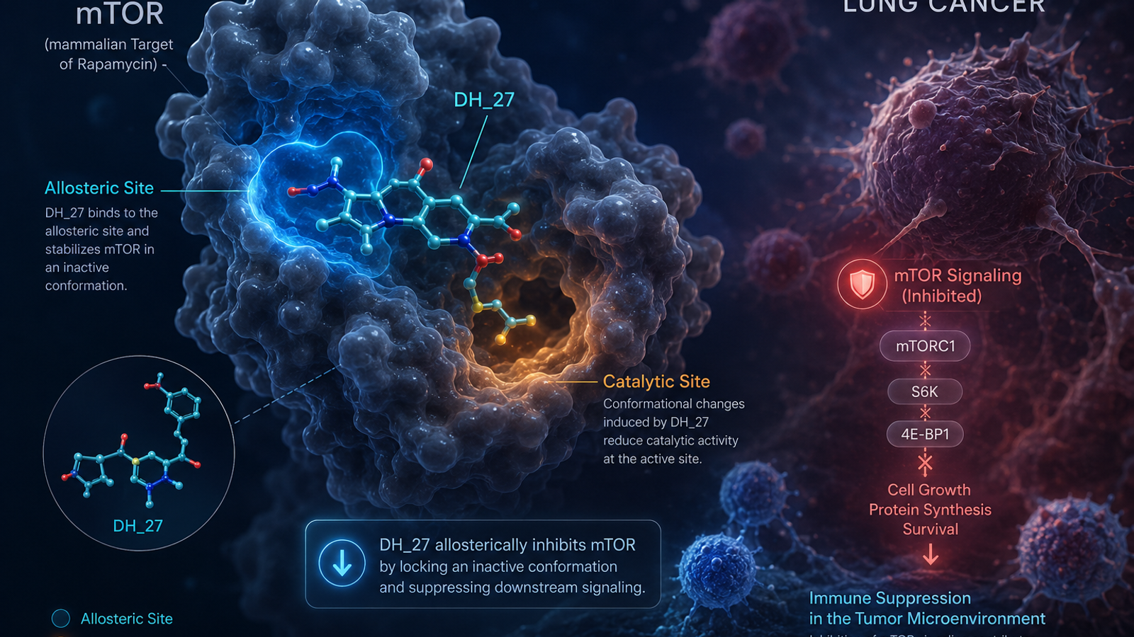 Targeting Lung Cancer with DH_27: A Novel Derivative of Renieramycin T