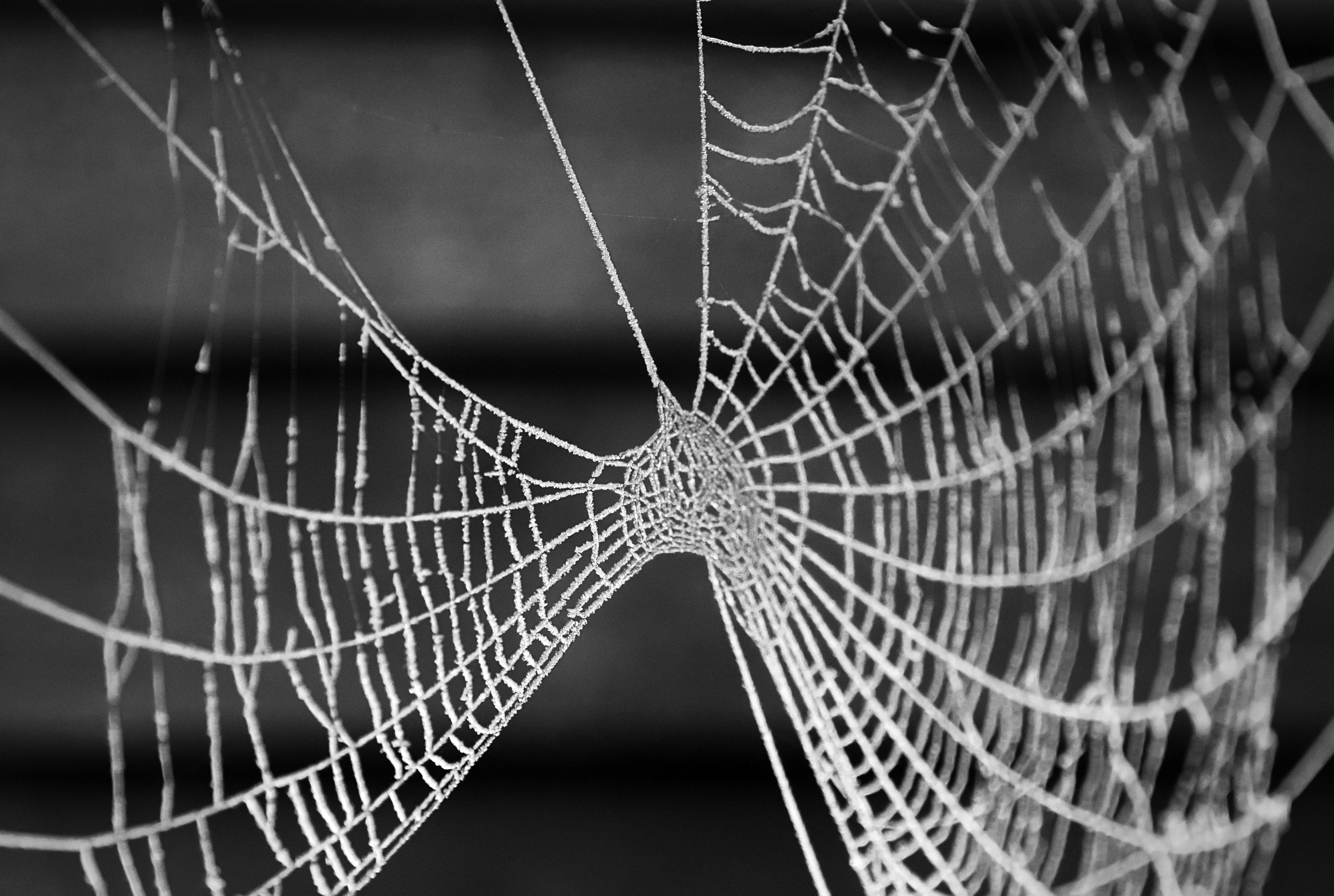 Why Software Cannot Fix a Fragile Network