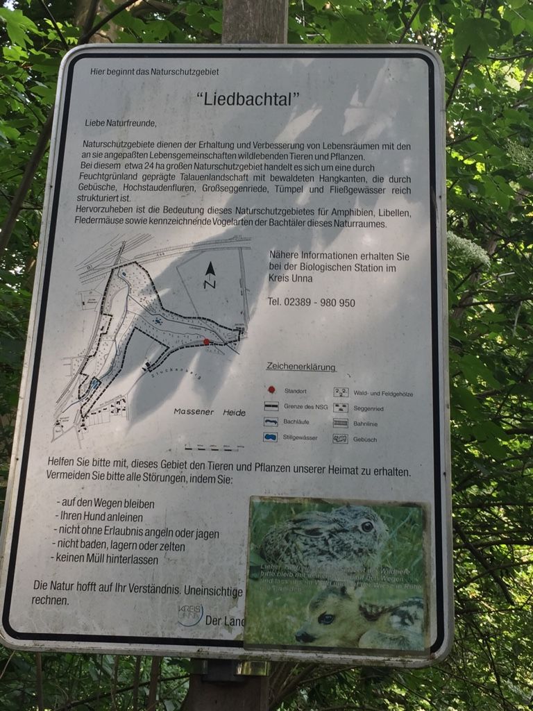 50. UNNA WANDERT…