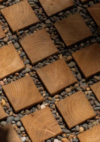 Tropical Architecture