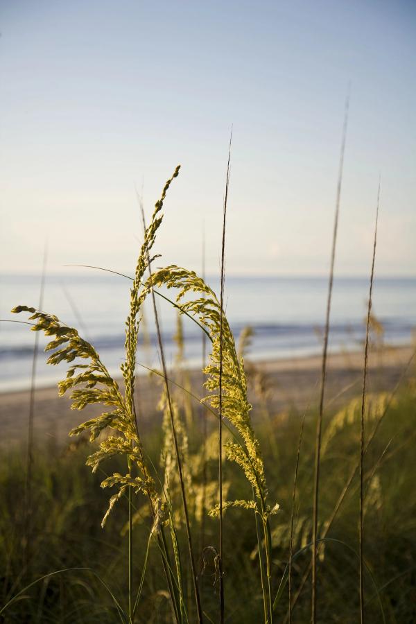 Time moves by mood, not by hour