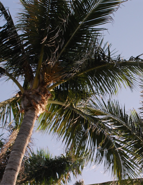 Where kindred spirits gather and grow