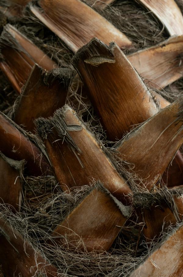 Project details image