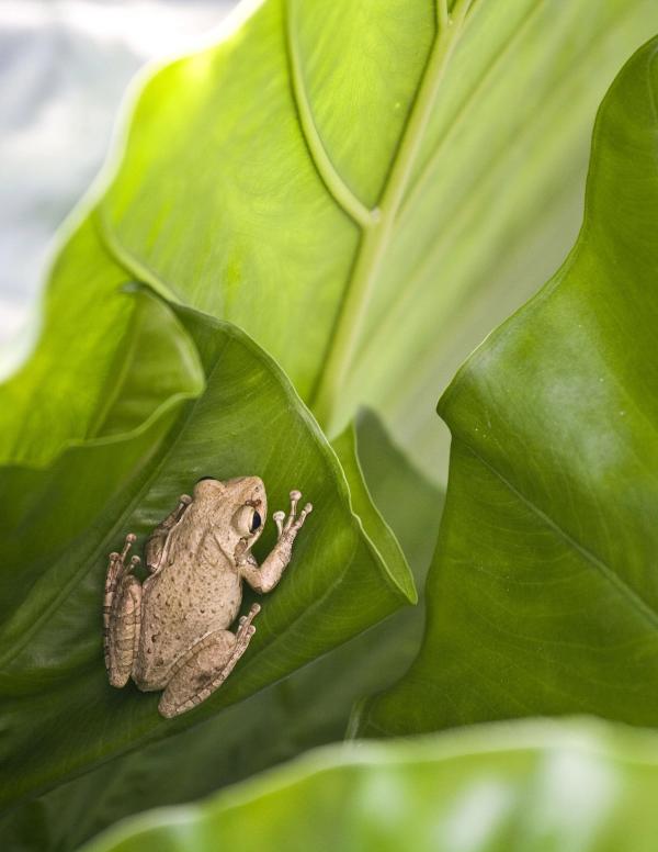 Project details image