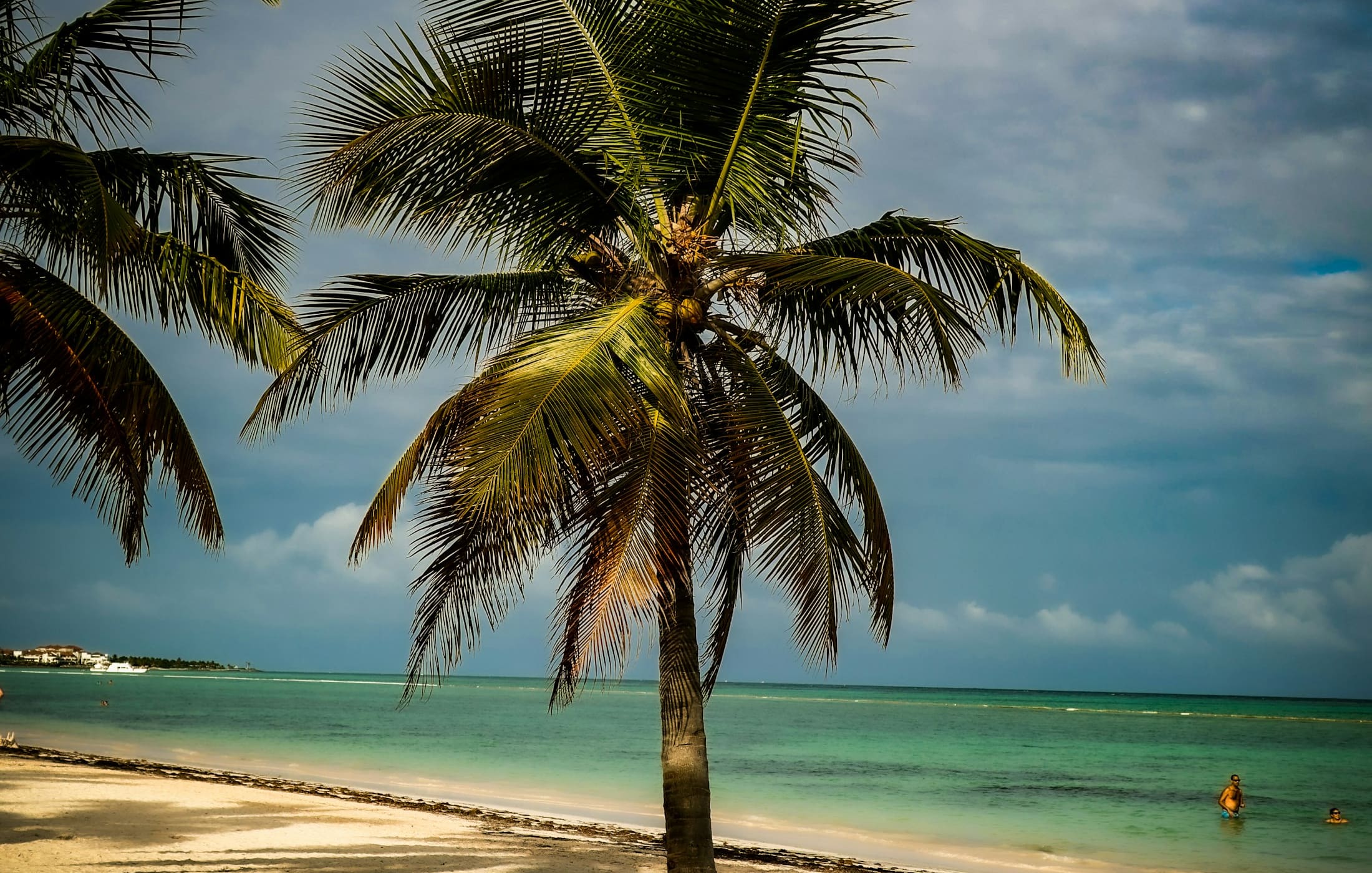 Playa Bávaro en Punta Cana con arena blanca, palmeras y mar turquesa