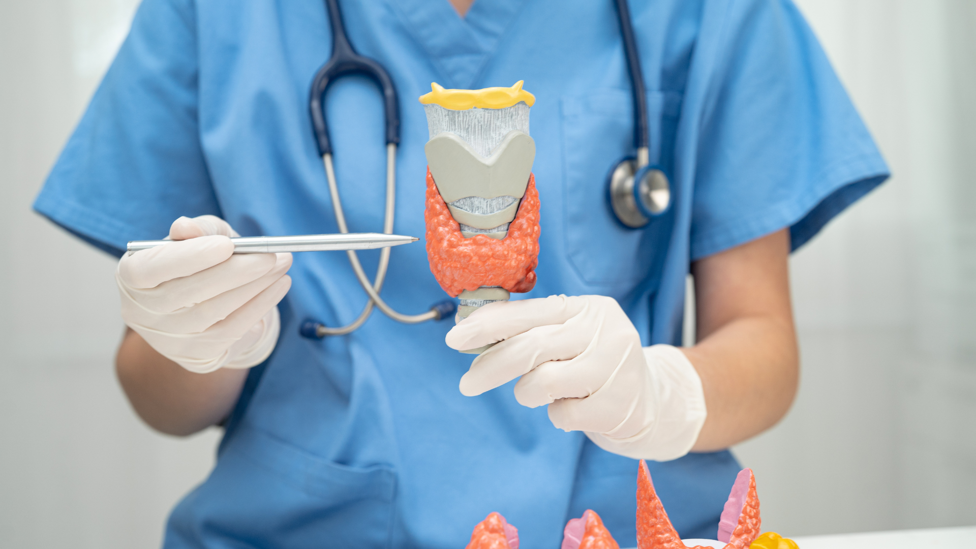 Color Doppler Thyroid Ultrasound