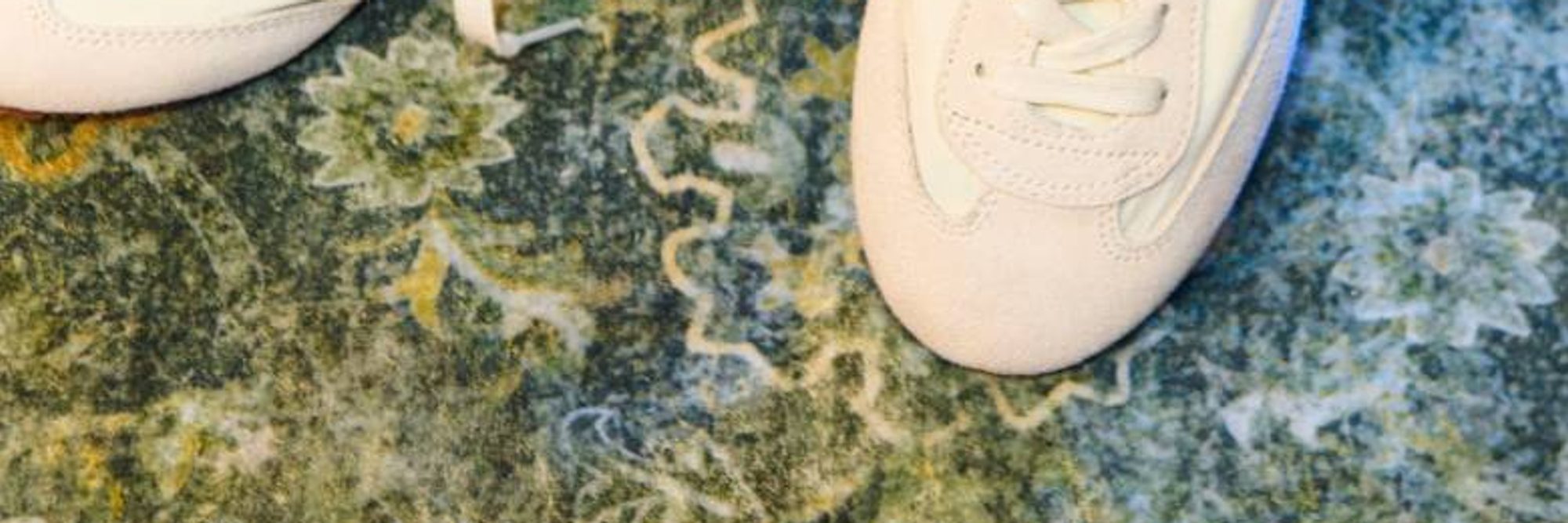 Vans cover