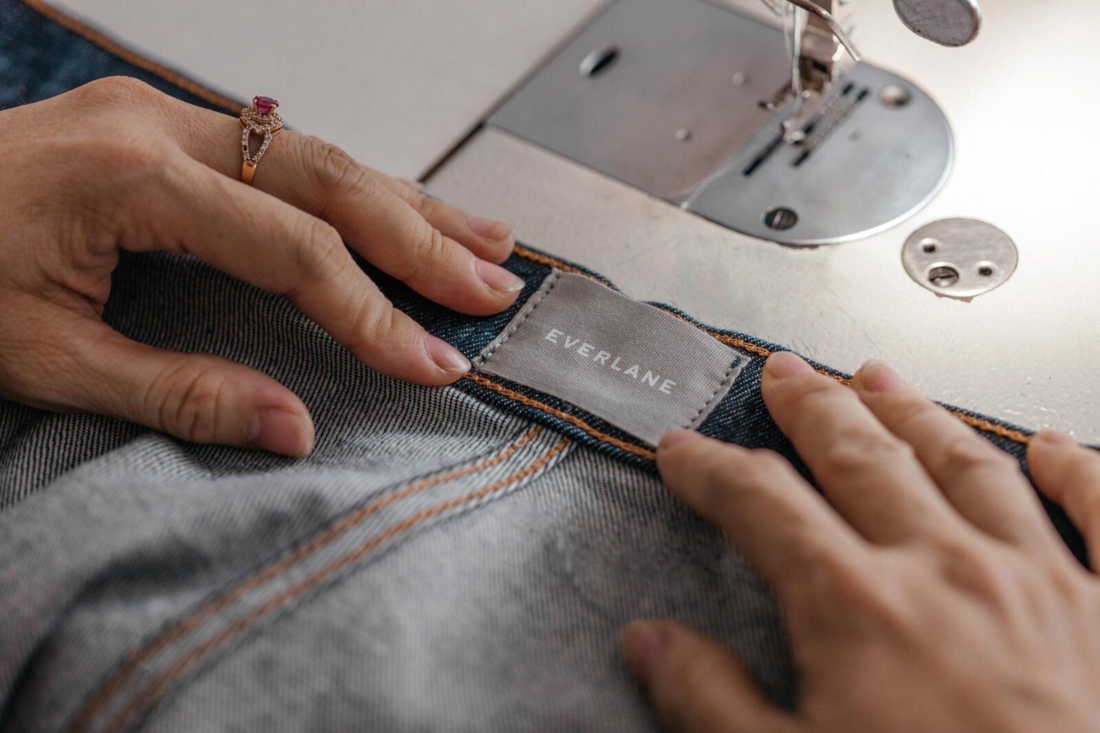 Everlane cover