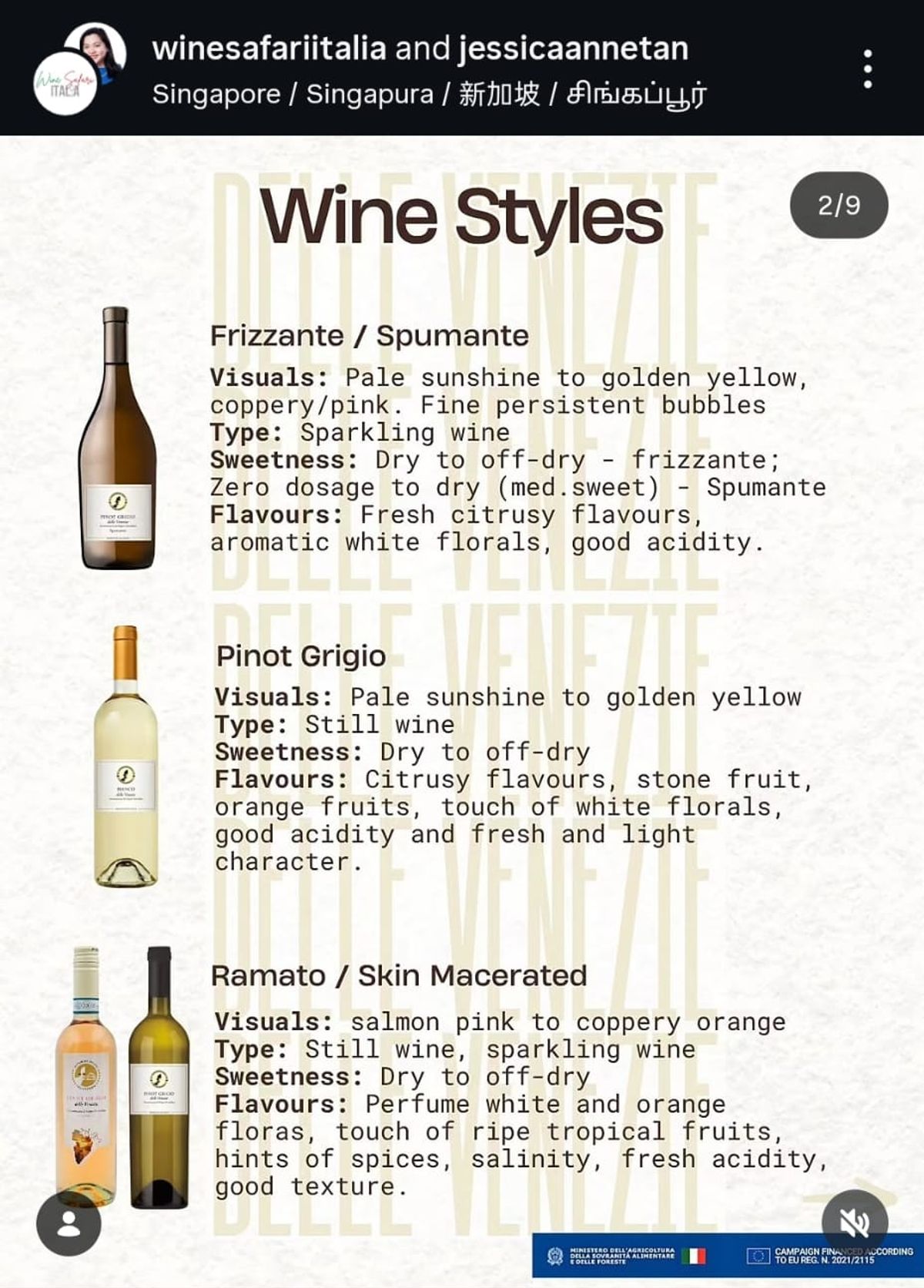 Pinot Grigio Delle Venezie DOC Social Media Campaign Image 4