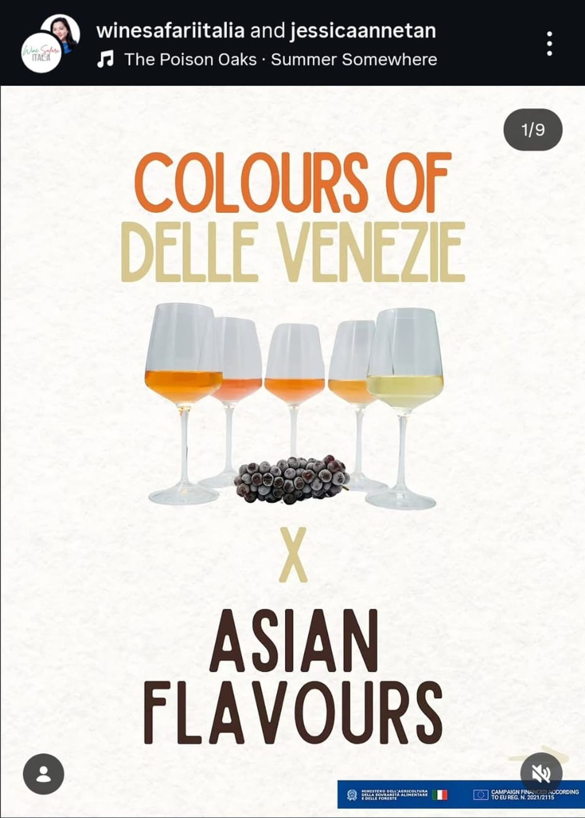 Pinot Grigio Delle Venezie DOC Social Media Campaign Image 3