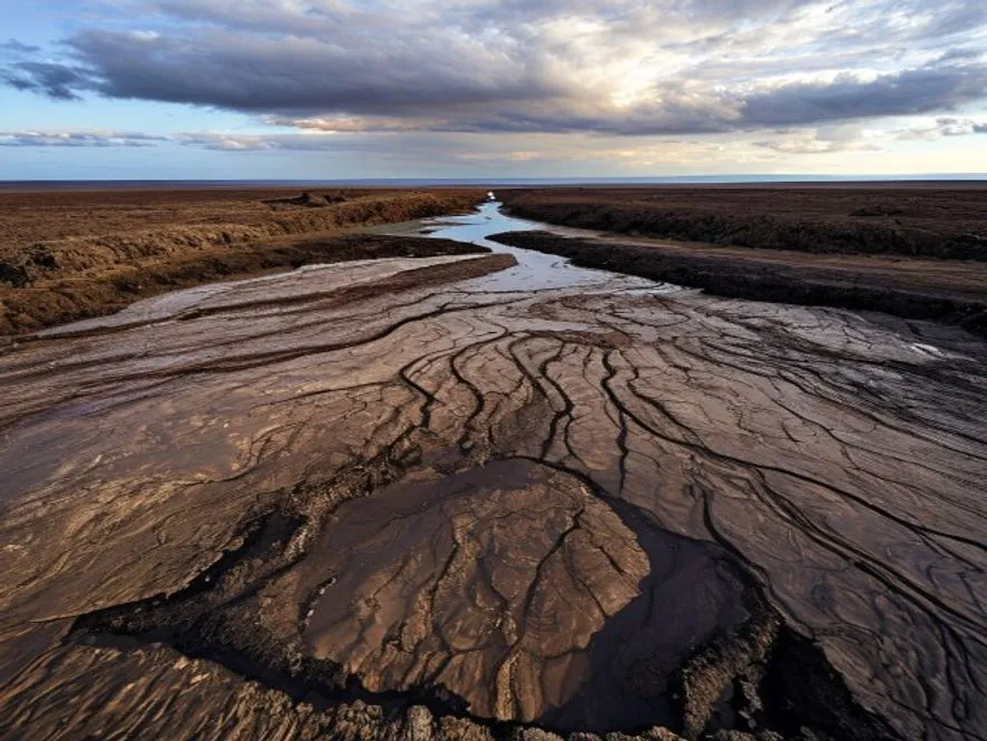 QIMC Shares Respond to Nova Scotia Soil-Gas Anomaly Report