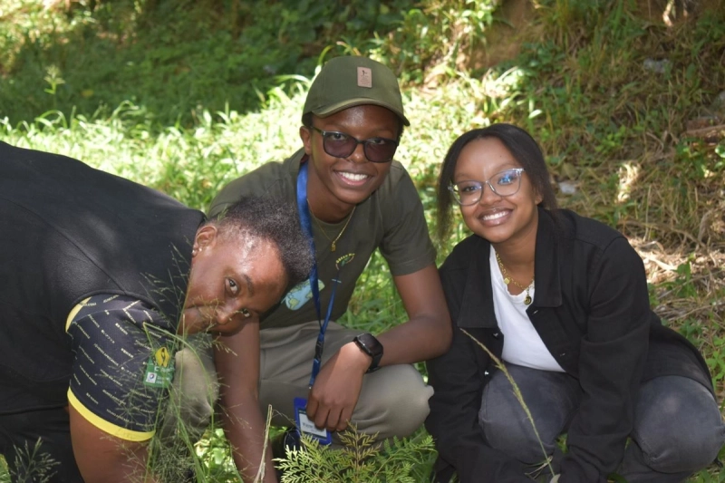Members Planting Trees