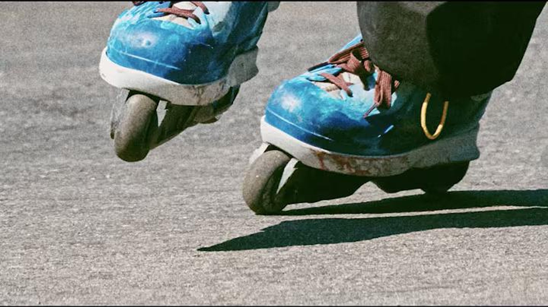 Future Shred Technology
