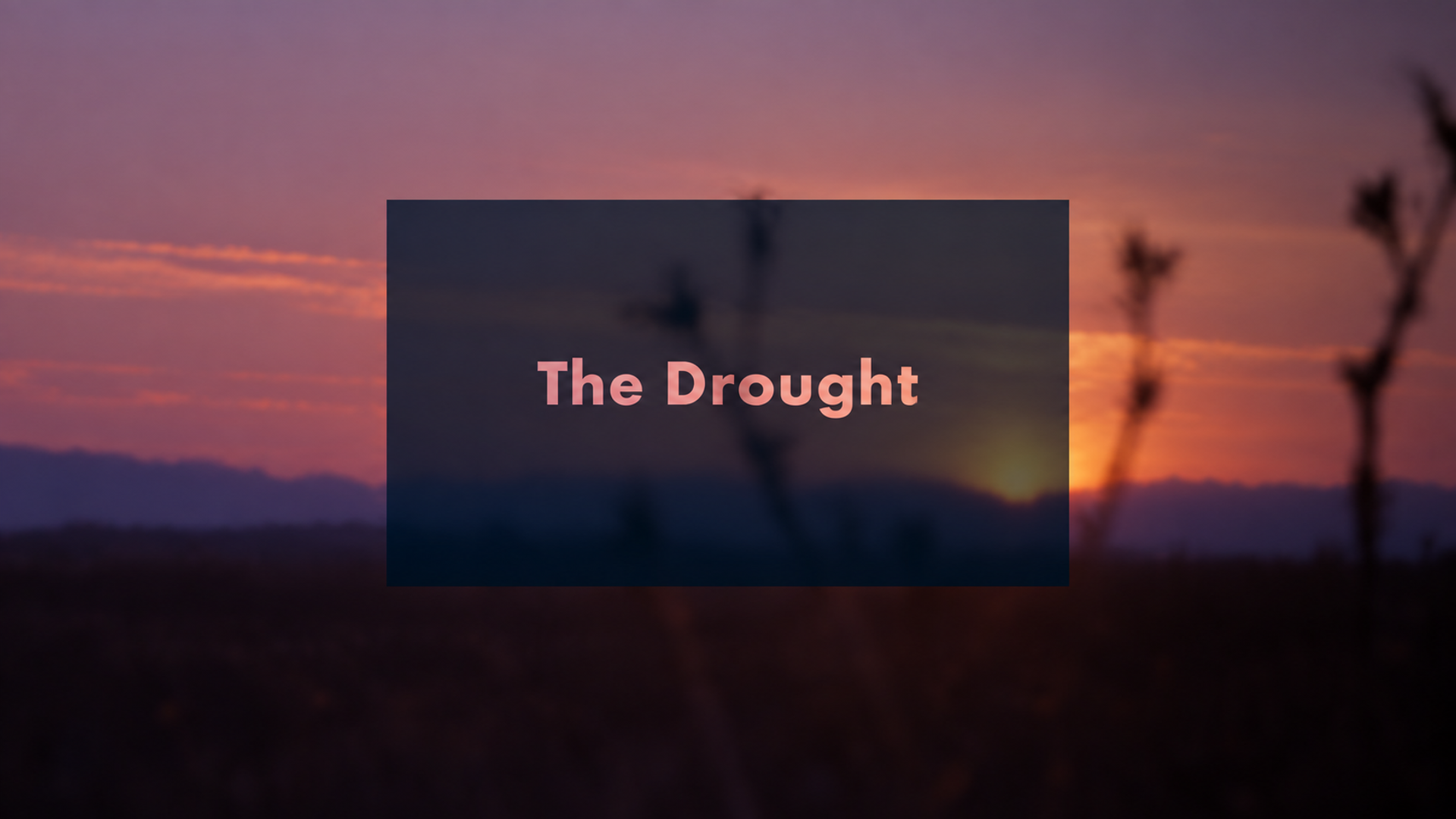 The Drought