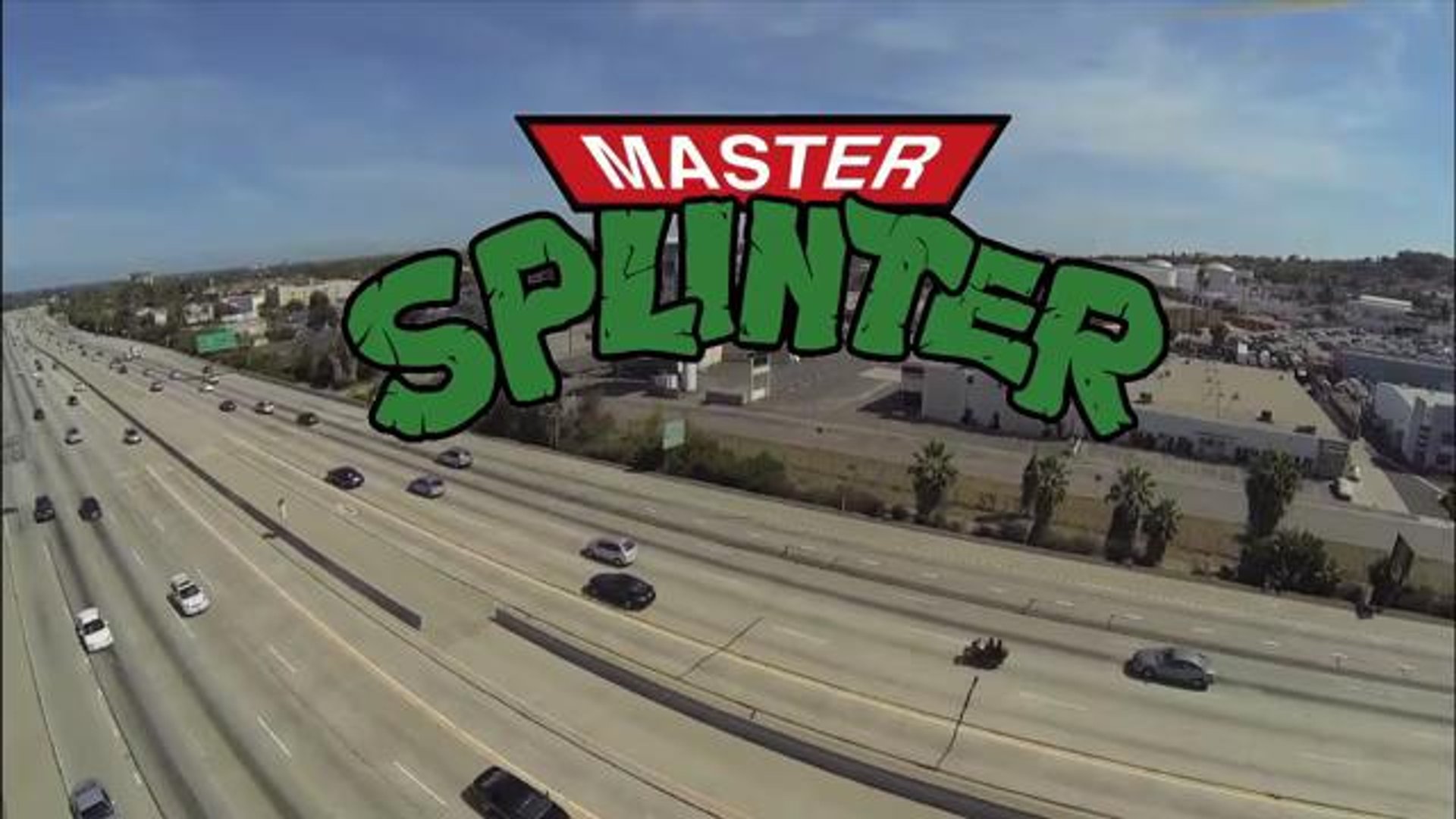 Master Splinter