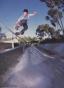 Dominic Sagona