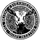 Syeahskate