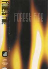DBV2 - Forest Fire