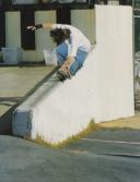 Walt Austin