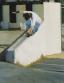 Walt Austin