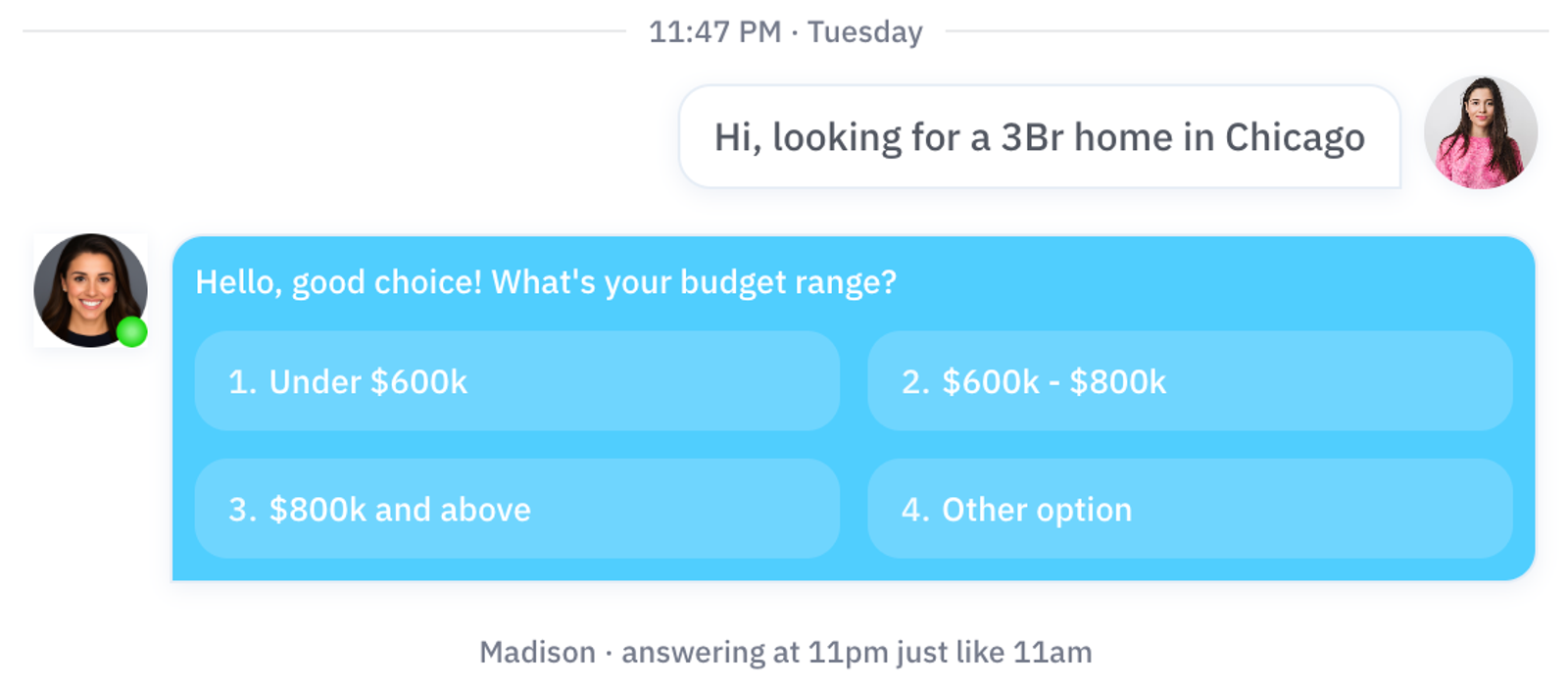 Madison chatbot answer user question