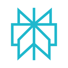 Logo Perplexity